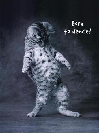 Born to Dance.jpg